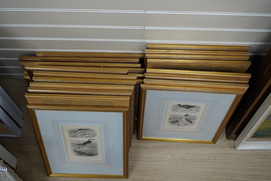 Twenty two 19th century French steel hand coloured engravings, birds to include ‘L’avocette’, 20 x 14cm. Condition - fair